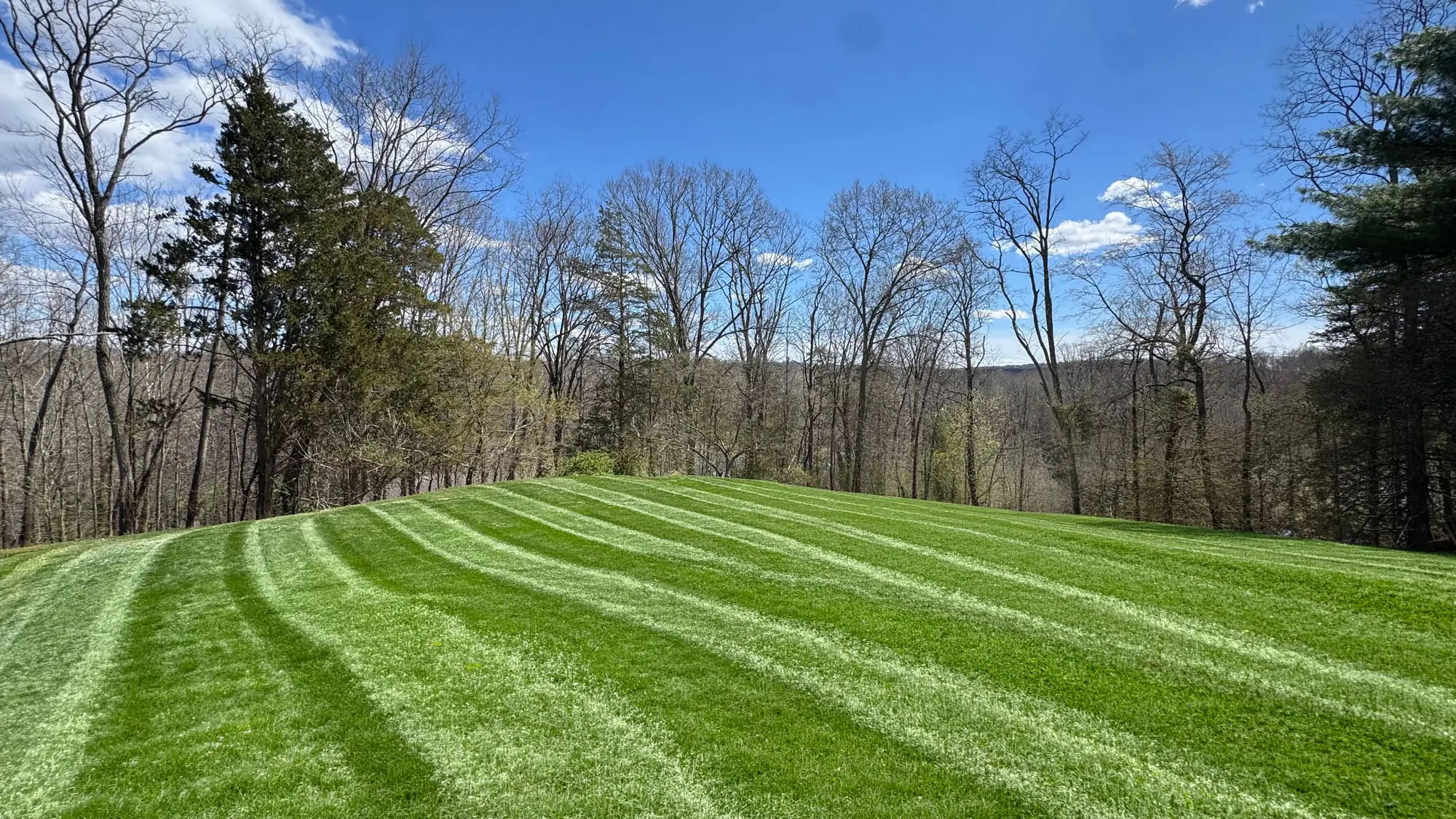 A sweeping hillside lawn cut with crisp diagonal mower stripes under a bright blue sky, bordered by tall trees and a distant wooded valley.