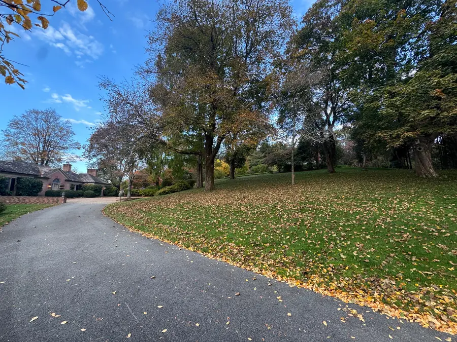 A residential hillside lawn and driveway blanketed in fallen autumn leaves before cleanup.