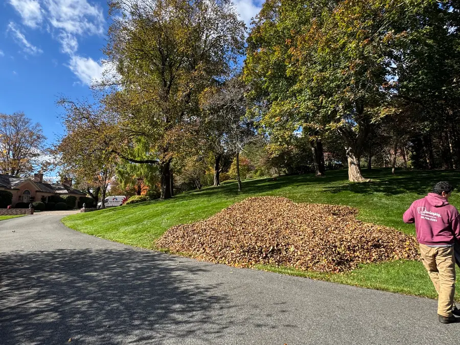An LL Landscaping crew member in a maroon LL hoodie beside a large pile of raked leaves on a cleared lawn.