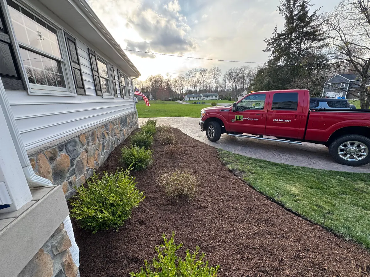 A freshly mulched foundation bed of shaped shrubs beside a stone-and-clapboard home, with the red LL Landscaping truck parked on the paver driveway.