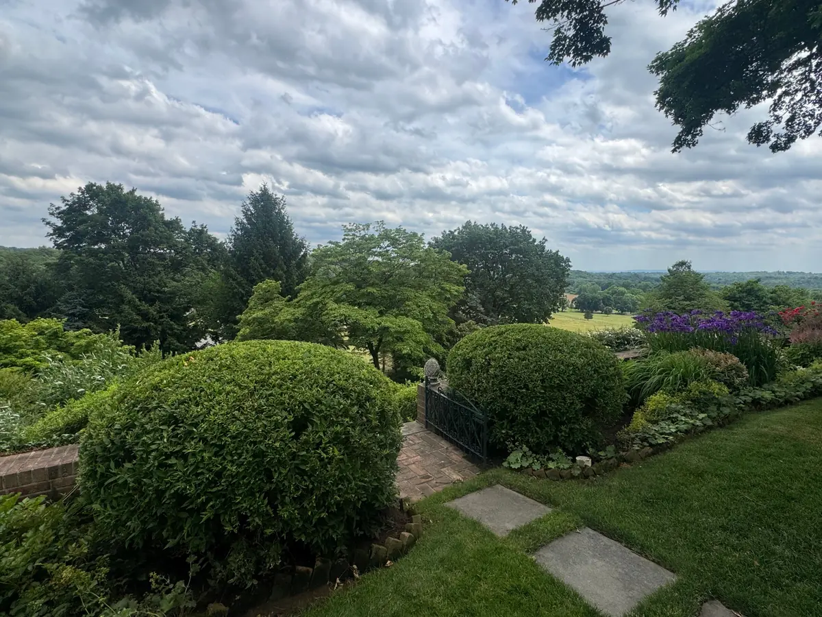 A lush hillside garden of neatly shaped boxwood, blooming purple irises, and layered perennial beds overlooking a wide valley view.